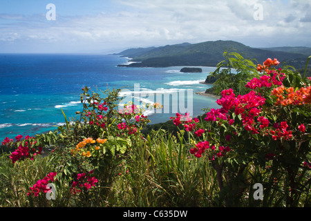 Blick von Firefly Haus in Jamaika Stockfoto