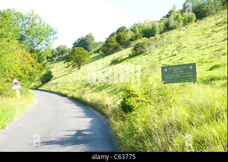 Der National Trust Box HIll in Dorking, Surrey. Surrey Hills. Radsport-Event der Olympischen Spiele 2012 in London Stockfoto