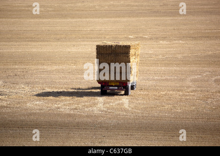 LKW, sammeln von Heuballen in abgeernteten Weizenfeld Stockfoto