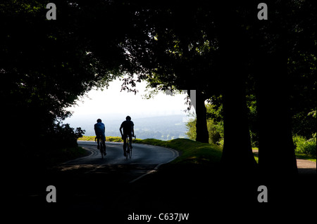 Der National Trust Box HIll in Dorking, Surrey. Surrey Hills. Radsport-Event der Olympischen Spiele 2012 in London Stockfoto