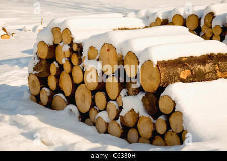 Holz Pfähle im Schnee, traditionelle Energiequelle Stockfoto