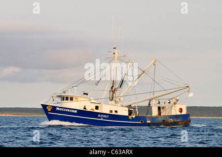 Blaue geschälten arbeiten Fischerboot mit Auslegern, vor der Küste von Cape Cod, USA. Stockfoto