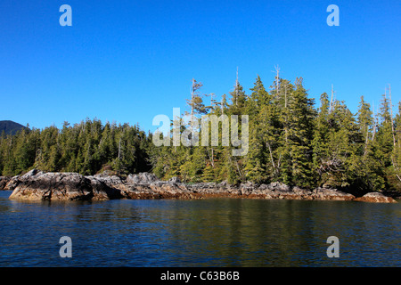 Ruhigen Gewässern des Barkley Sound in der gebrochenen Inselgruppe an einem Sommerabend. Stockfoto