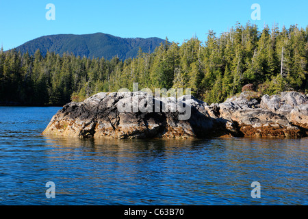 Ruhigen Gewässern des Barkley Sound in der gebrochenen Inselgruppe an einem Sommermorgen Stockfoto