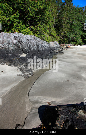 Frischwasser-Stream von Catface Berg in der Nähe von Tofino BC liefen zum Meer bei Ebbe an einem Sommertag Stockfoto