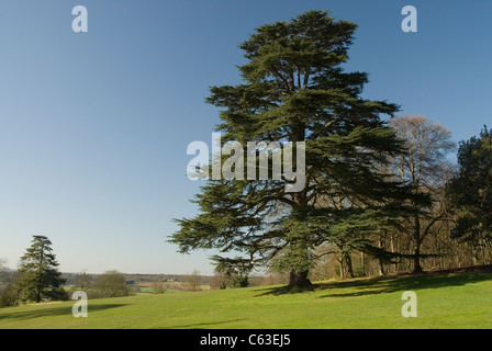 Parklandschaft am alten Renaissance Haus in Berkshire, England in der Nähe von Henley-on-Thames Stockfoto