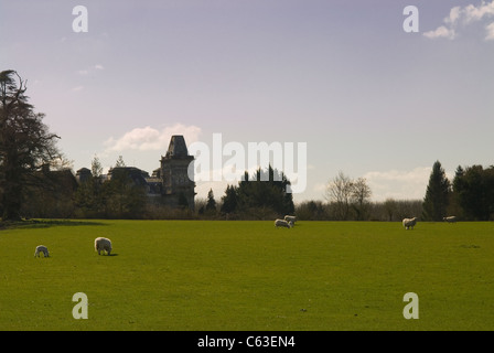 Parklandschaft mit Schafen am alten Renaissance Haus in Berkshire, England in der Nähe von Henley-on-Thames Stockfoto