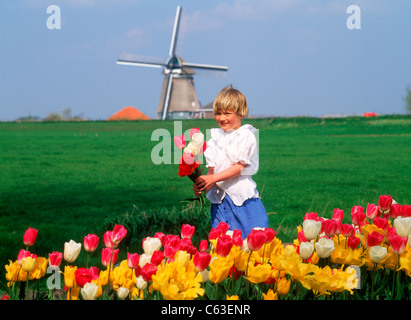 Holländerin mit Tulpen auf Bauernhof in Holland mit Windmühle Stockfoto