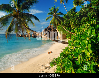 Anse Source d Argent auf der Insel La Digue auf den Seychellen mit Kokosnüssen am Sandstrand Stockfoto