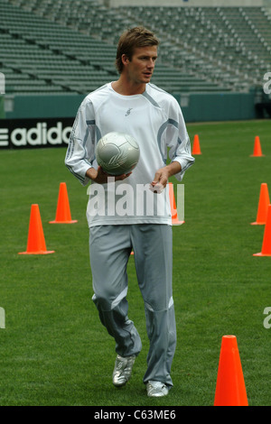 David Beckham bei der Pressekonferenz für David Beckham startet Home Depot Soccer Academy, The Home Depot Center Stadium Club, Stockfoto