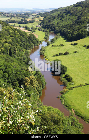 River Wye Valley von Symonds Yat Rock, Herefordshire, England, UK Stockfoto