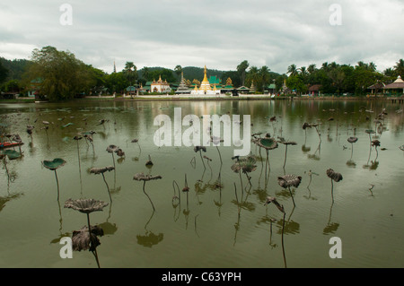 Blick über den See Wat Chong Kham in Mae Hong Son, Thailand Stockfoto