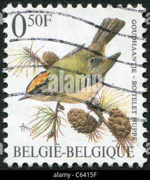 Belgien - 1991: Eine Briefmarke gedruckt in Belgien zeigt einen Vogel Wintergoldhähnchen (Regulus Regulus) Stockfoto