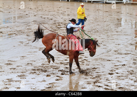 Sattel Bronc Reiten Veranstaltung bei der Calgary Stampede, Kanada. Stockfoto