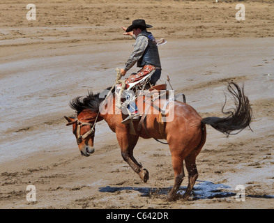 Sattel Bronc Reiten Veranstaltung bei der Calgary Stampede, Kanada. Ein Cowboy konkurriert in der rauen vordefiniertes Ereignis. Stockfoto