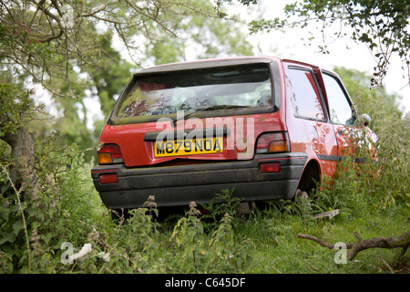 Alte verlassene rote Mini Metro Auto im Feld Stockfoto