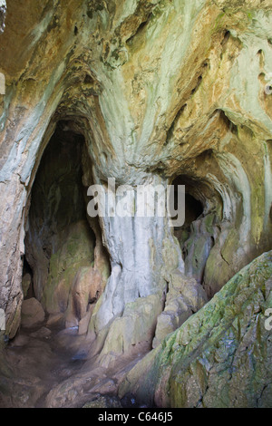 Thor Höhle in Milldale Tal, Peak District National Park, England, Großbritannien Stockfoto