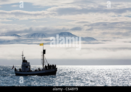 Whale-watching Boot in Skjalfandi Bay, Husavik, Island Stockfoto