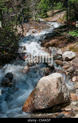 Eine vertikale Aufnahme von einem kleinen Gebirgsbach fließt über Felsen und Geröll Stockfoto