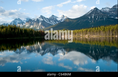 Am frühen Morgensonne am Hector Lake auf dem Icefield Parkway, Alberta, Canada Stockfoto