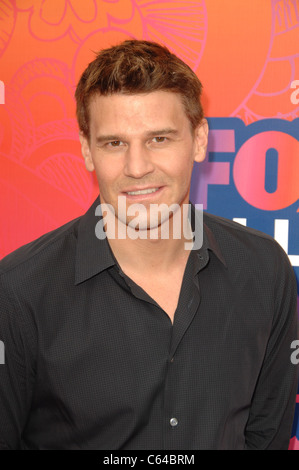 David Boreanaz im Ankunftsbereich für Fox All-Star Party, Pacific Park, Santa Monica, CA 2. August 2010. Foto von: Dee Cercone/Everett Stockfoto