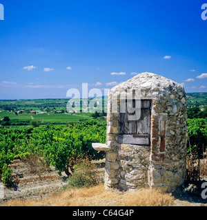 Trockenmauern und Hütte und "Côtes du Rhône" Weinberg, Vaucluse, Provence, Frankreich, Europa Stockfoto