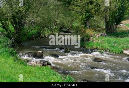 Fluss Colmont (Sentier des Moulins, Brecé, Mayenne, Frankreich). Stockfoto