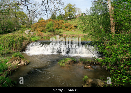 Einen kleinen Damm am Fluss "La, Colmont' (Sentier des Moulins, Brécé, Mayenne, Frankreich). Stockfoto