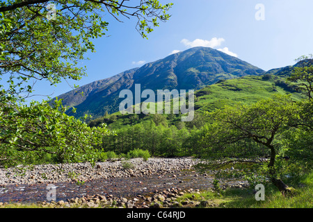 Ben Nevis (Großbritanniens höchstem Berg) mit River Nevis im Vordergrund, Glen Nevis, Lochabar, Schottisches Hochland, Schottland, UK Stockfoto