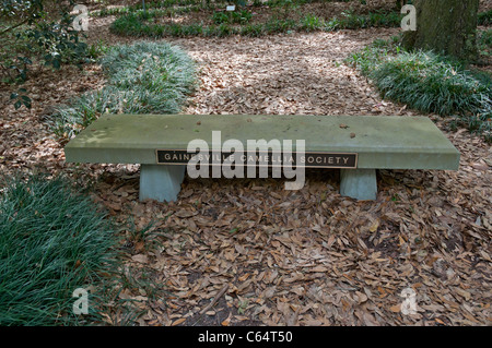 Kanapaha Spring Festival Gainesville Florida Bank gesponsert von Gainesville Camellia Society Stockfoto