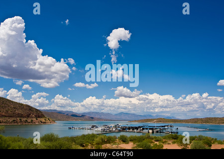 Roosevelt Lake verfügt über den größten See in Zentral-Arizona, bestehend aus 112 Meilen Küstenlinie, ruhigen Buchten und 22.000 Hektar Stockfoto