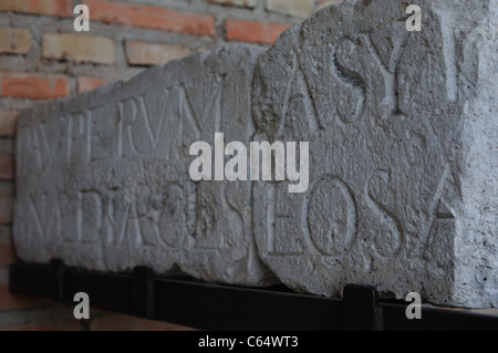 Werkstein. Renaissance (Plateresk) gehören das ANTIQUARIUM - Wall von ALCALA DE HENARES (13 th). Spanien Stockfoto