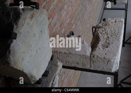 Werkstein. Renaissance (Plateresk) gehören das ANTIQUARIUM - Wall von ALCALA DE HENARES (13 th). Spanien Stockfoto