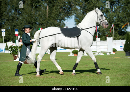 Demonstration der klassischen Dressur der Lipizzaner Hengst während Grand Prix Bratislava am 13. August 2011 in Bratislava, Slowakei Stockfoto