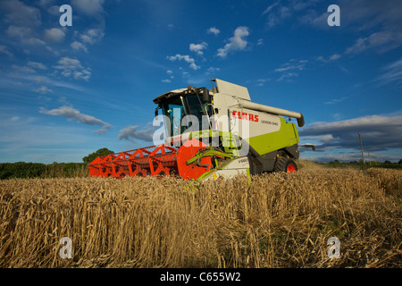 CLAAS Lexion 540 Mähdrescher UK Stockfoto