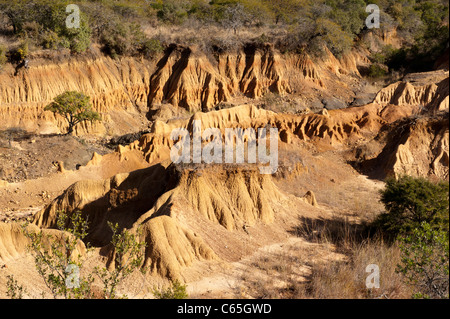 Boden-Erosion, Ithala Game Reserve, Südafrika Stockfoto