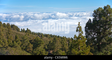 Blick Vom Roque de Los Muchachos schlug Den Wolken, Parque Nacional De La Caldera de Taburiente, Caldera, Blick über den Wolken Stockfoto