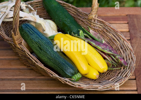 Gemüse aus dem Garten in einem Korb Trug geerntet Stockfoto