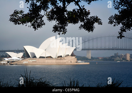 Sydney Opera House und Harbour Bridge, am frühen Morgen Stockfoto