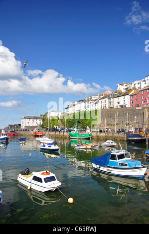 Boote vertäut im Hafen von Brixham, Brixham, Devon, England, Vereinigtes Königreich Stockfoto