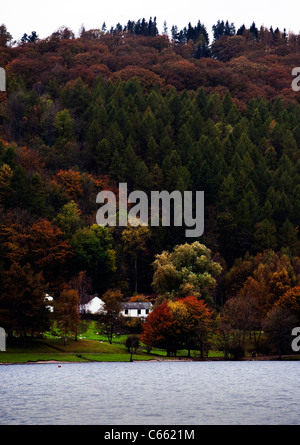 Ansicht von Gebäuden bei weitem Sawrey am Ufer des Lake Windermere, England, Vereinigtes Königreich, genommen von der Autofähre Stockfoto