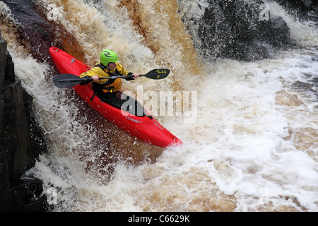 Kajakfahrer auf dem River Tees bei geringer Kraft obere Teesdale County Durham UK Stockfoto