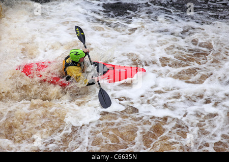 Kajakfahrer auf dem River Tees bei geringer Kraft obere Teesdale County Durham UK Stockfoto