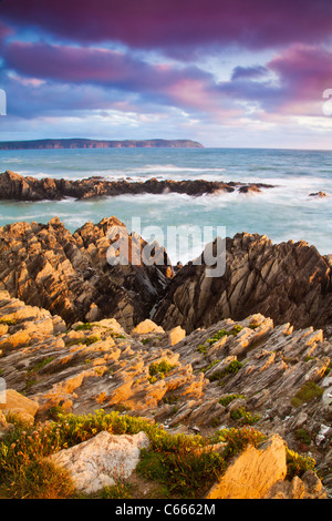 Abendlicht fällt auf den Felsen von Barricane Strand, Woolacombe, mit Blick in Richtung Baggy Point, North Devon, England, UK Stockfoto