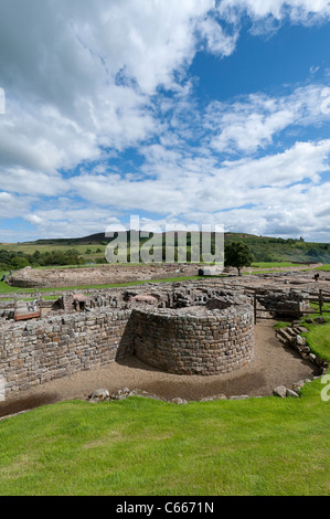 Vindolanda Roman Fort Stockfoto