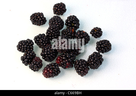 Eine Sammlung von lila, saftige Brombeeren Stockfoto