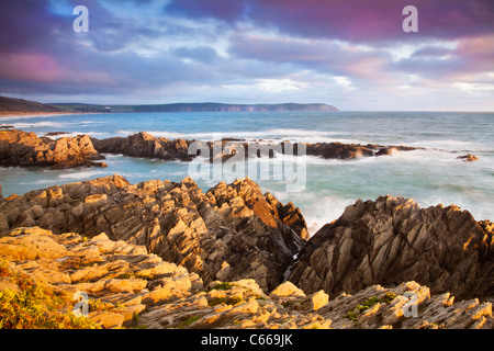 Abendlicht fällt auf den Felsen von Barricane Strand, Woolacombe, mit Blick in Richtung Baggy Point, North Devon, England, UK Stockfoto