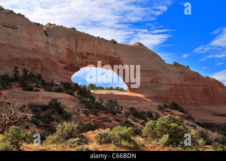 Wilson Arch, Utah. Sandstein Bogen off Highway 191 südlich von Moab Stockfoto