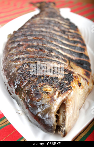 ganzer Lachs auf weißen Teller gekocht Stockfoto