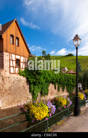 Stadt von Riquewihr mit den Weinbergen des Grand Cru hinaus Elsass Haut-Rhin-Frankreich Stockfoto